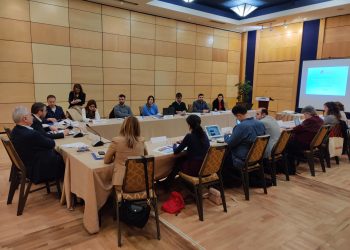 Regional Roundtable: Guardians of the truth – the fact checkers