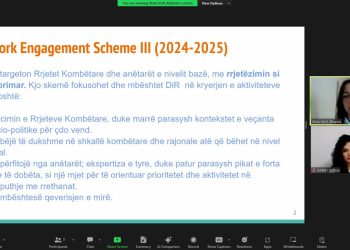 Kreu i Rrjetit Shqiptar ALF zhvillon takimin e parë online me Grupin Këshillues për Rrjetin Shqiptar ALF